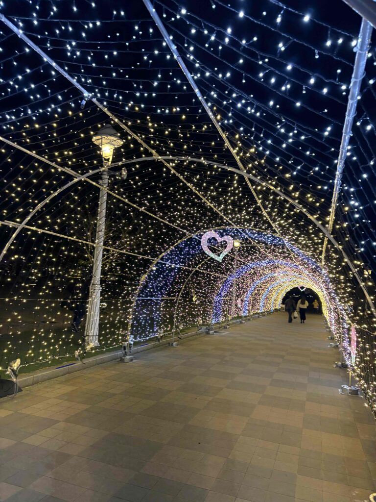 神戸バレンタインライトアップ2026