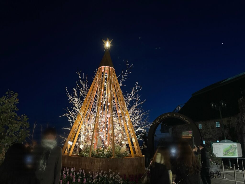 神戸布引ハーブ園クリスマスツリー