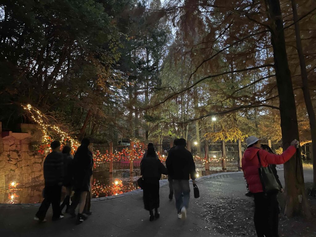 神戸市立森林植物園イルミネーション