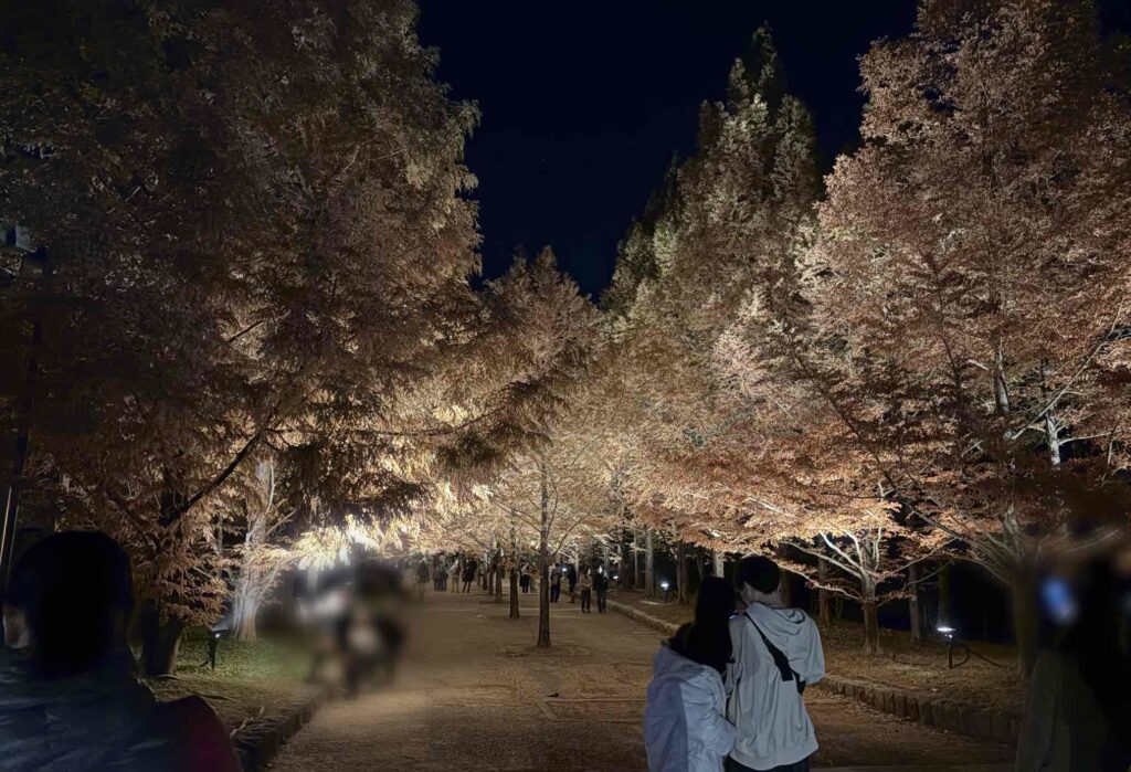 神戸市立森林植物園紅葉レビュー