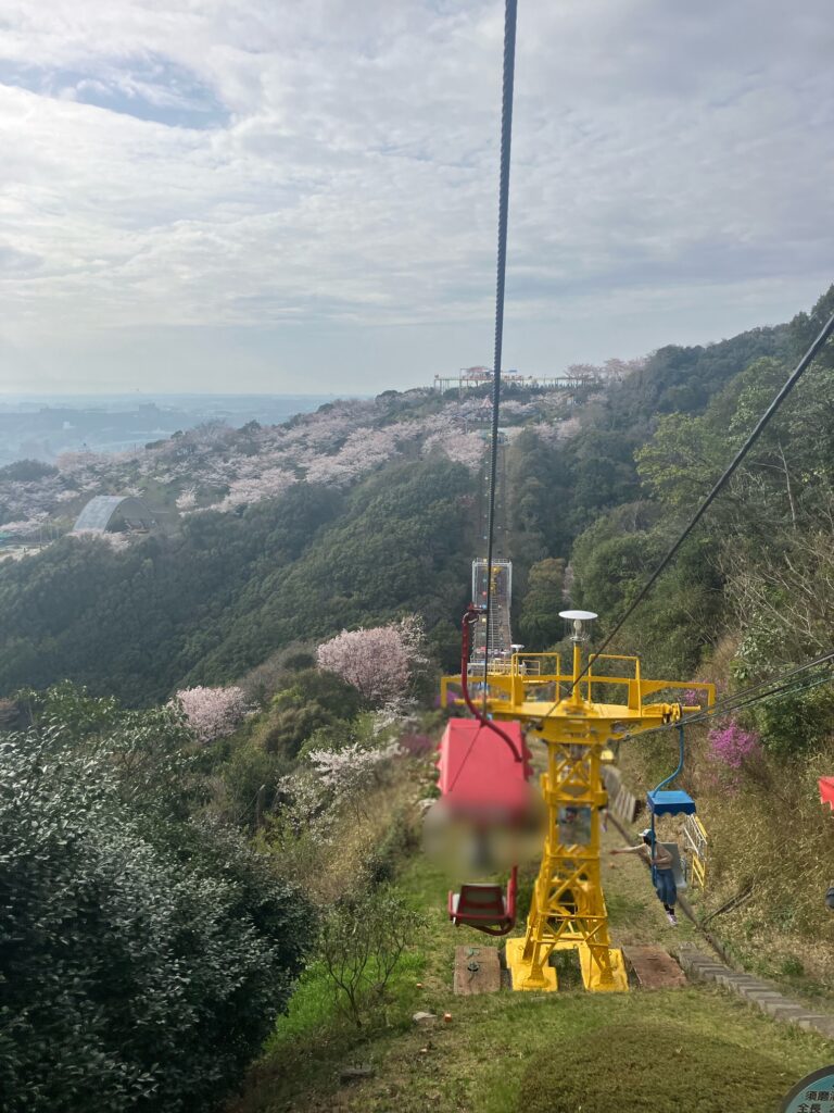 須磨浦山上遊園リフトから見る桜