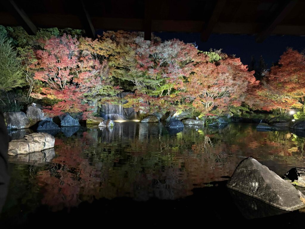 好古園紅葉ライトアップ